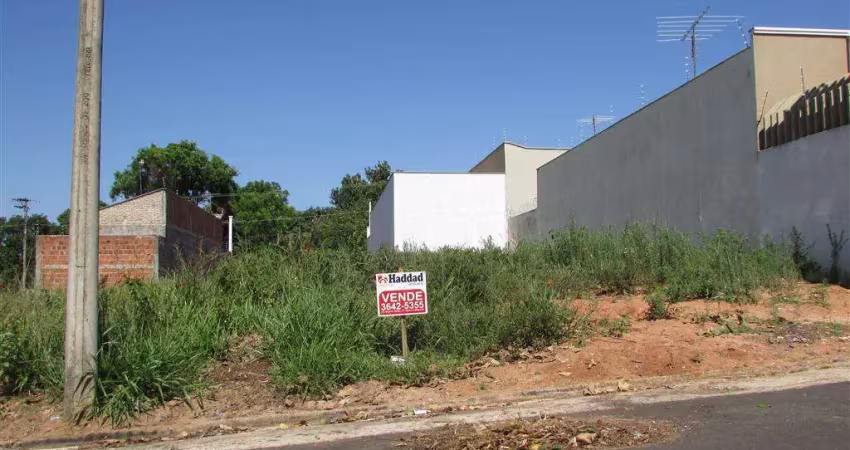Bosque da saúde ii, terreno com medidas 10 x 25 = 250m², aterro plano birigui sp