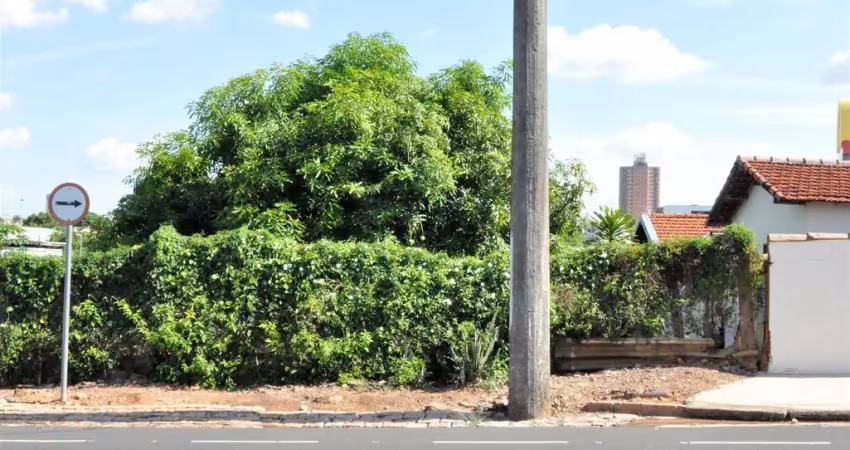 Terreno à venda no Centro, Birigui 