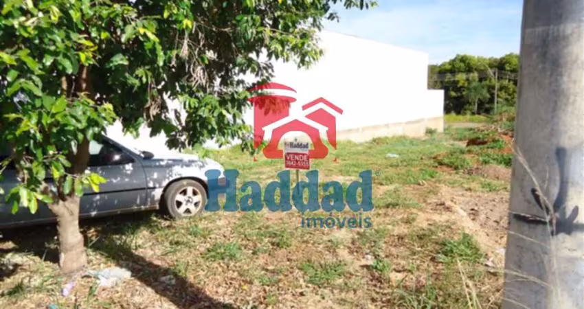 Terreno comercial à venda no Centro, Birigui 