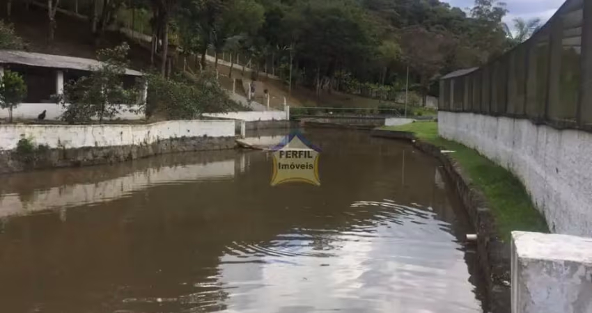 Oportunidade imperdível ! belíssimo sitio  em ouro fino pta!