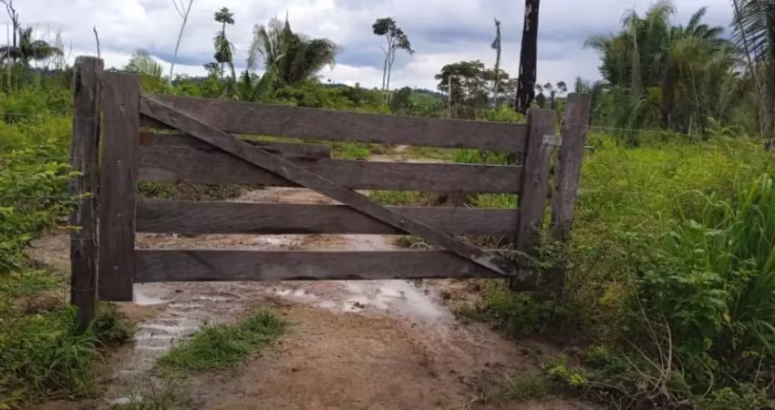 Vendo terreno com 20 alqueiro - pacajá - pa    oportunidade!! terreno com 20 alqueiro sendo 3 alqueiro de abertura de pasto com capim mombaça 17 alqueiro de mata, muita castanheiras e açaí nativo terr