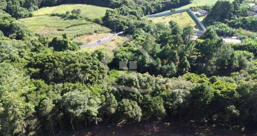 Chácara / sítio à venda na Travessa Francisco Lopes da Silva, 200, Botiatuva, Campo Largo