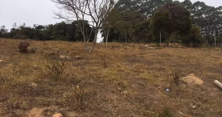 Terreno em condomínio fechado à venda em Buarque De Macedo, Conselheiro Lafaiete 