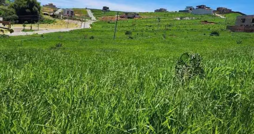 Terreno em condomínio fechado à venda na Praça Pimentel Duarte, 1, Gigante, Conselheiro Lafaiete