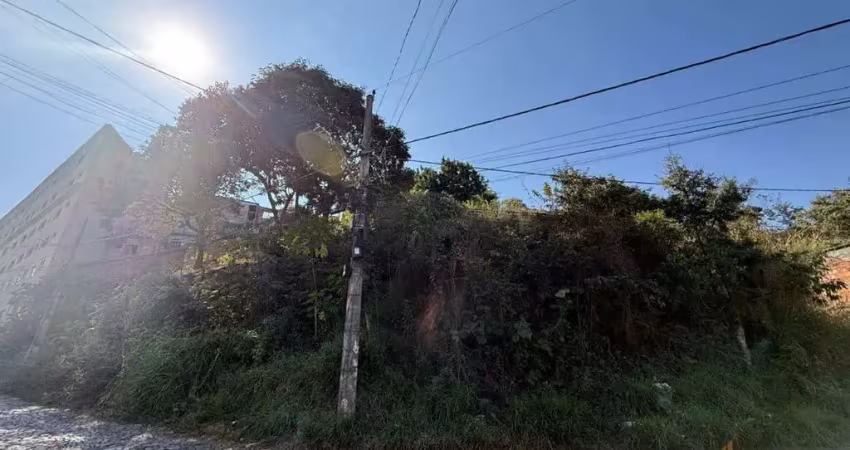 Terreno em condomínio fechado à venda na Rua Odília Vieira de Oliveira, 38, São Dimas, Conselheiro Lafaiete