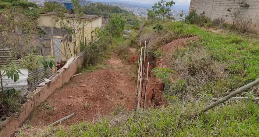 Terreno em condomínio fechado à venda na Rua Benedito Alves Vieira, 1, Topázio, Conselheiro Lafaiete