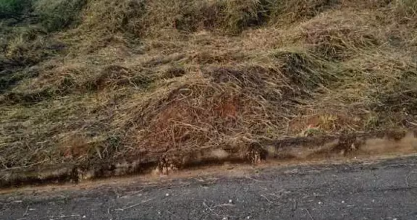 Terreno em condomínio fechado à venda na Praça Pimentel Duarte, 1, Cidade Jardim, Conselheiro Lafaiete