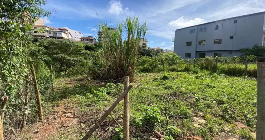 Terreno em condomínio fechado à venda na Rua Vereador Alfredo Laporte, 1, Jardim Inconfidentes, Conselheiro Lafaiete