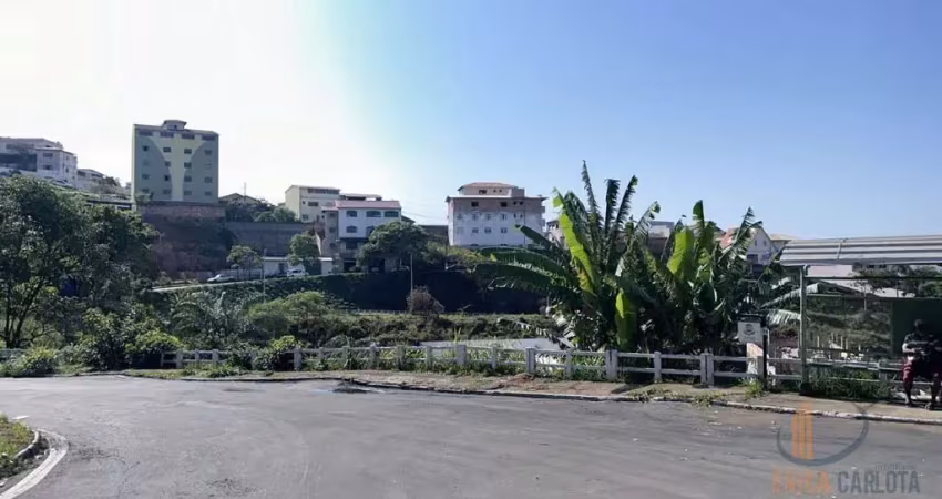 Terreno em condomínio fechado à venda na Praça Jacy Andrioni, 43, Manoel Corrêa, Conselheiro Lafaiete