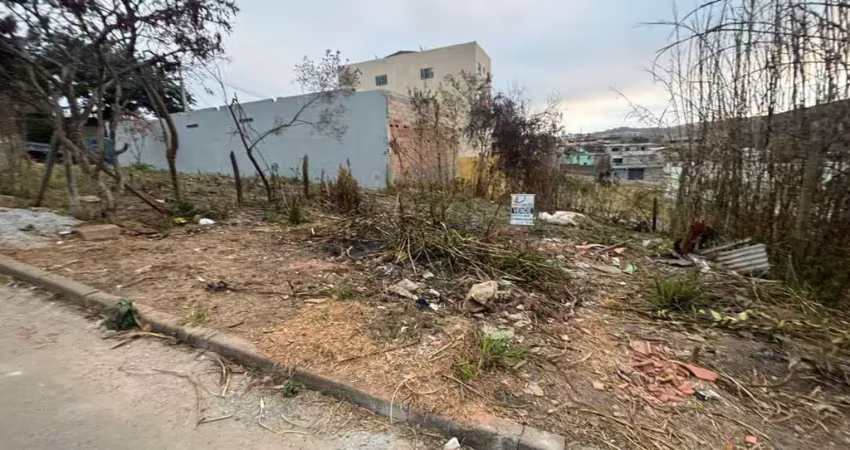 Terreno em condomínio fechado à venda na Rua Maria Augusta Baêta Franco, 6, Paulo VI, Conselheiro Lafaiete