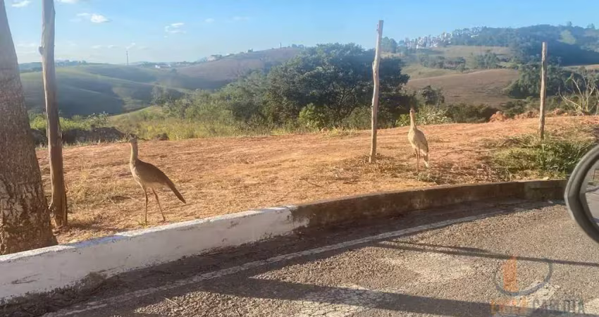 Terreno em condomínio fechado à venda na Rua Henrique Aleixo de Paula, 10, Quintas do Imperador, Conselheiro Lafaiete