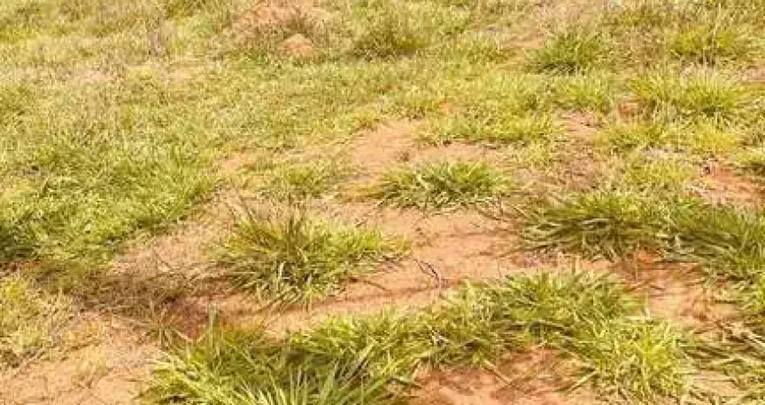 Terreno em condomínio fechado à venda na Rua Fernando de Carvalho Santos, 14, Monte Cristo, Conselheiro Lafaiete