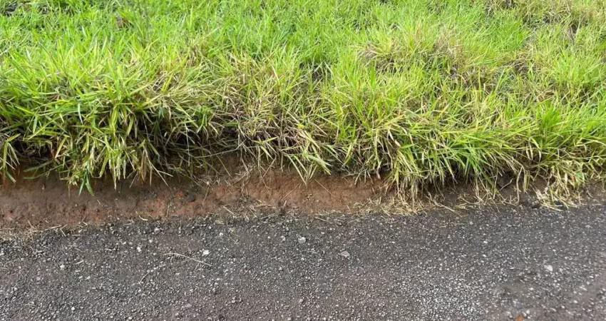 Terreno em condomínio fechado à venda na Praça Pimentel Duarte, 10, Amaro Ribeiro, Conselheiro Lafaiete