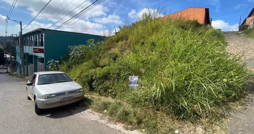 Terreno em condomínio fechado à venda na Rua Wellington Nemézio Meireles, 44, Santa Terezinha, Conselheiro Lafaiete
