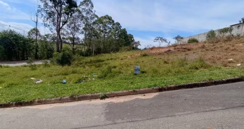 Terreno em condomínio fechado à venda na Rua Lopes Franco, 2, Parque Montreal, Conselheiro Lafaiete