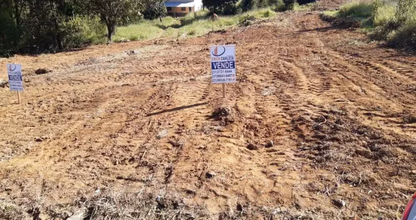 Terreno à venda na Rua Geraldo Baêta Barbosa, 5, Amaro Ribeiro, Conselheiro Lafaiete