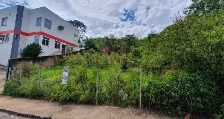 Terreno em condomínio fechado à venda na Rua Coronel José Joaquim Queirós Júnior, 20, Campo Alegre, Conselheiro Lafaiete