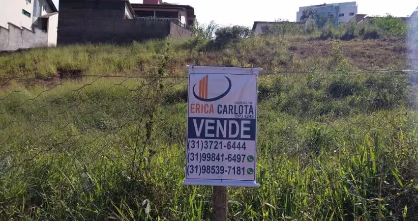 Terreno em condomínio fechado à venda na Rua Amadeu Corrêa, 34, Manoel Corrêa, Conselheiro Lafaiete