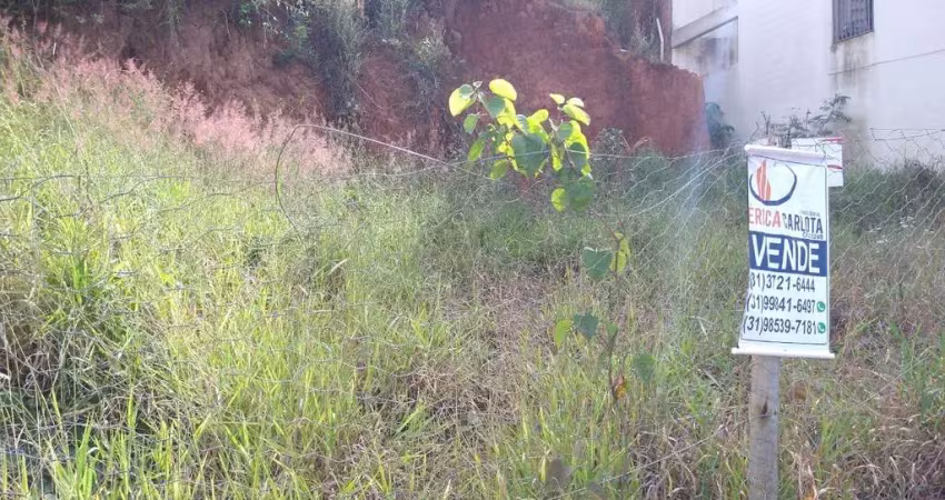 Terreno em condomínio fechado à venda na Rua Amadeu Corrêa, 24, Manoel Corrêa, Conselheiro Lafaiete
