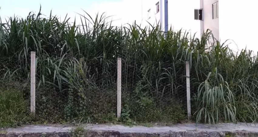 Terreno à venda na Rua André Rodrigues da Silva, 999999, Campo Alegre, Conselheiro Lafaiete