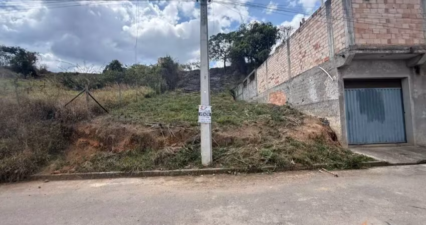 Terreno em condomínio fechado à venda na Rua Francisco Tereza da Costa, 09, Santo Agostinho, Conselheiro Lafaiete