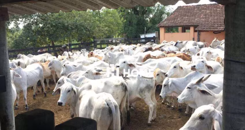 Fazenda perobas - oportunidade única de investimento em araruama/rj 1258400 mts