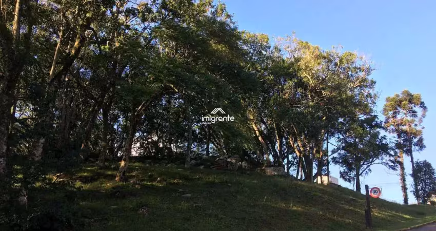 Terreno à venda no Country, Santa Cruz do Sul 