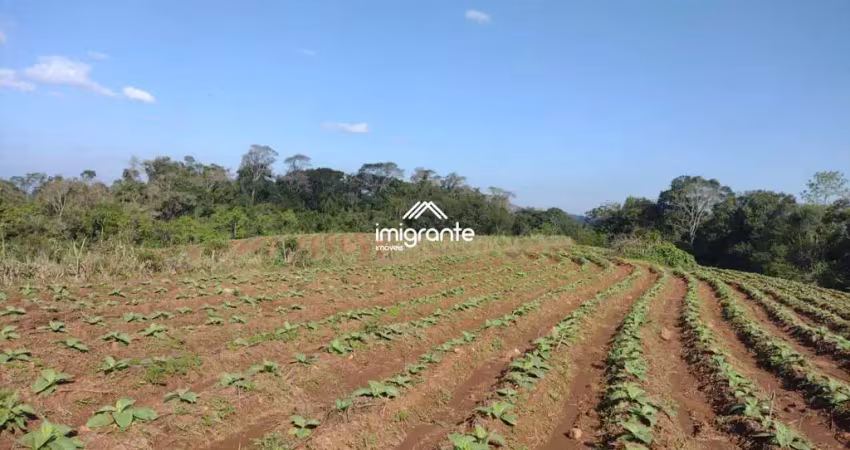 Chácara / sítio à venda na Área Rural de Santa Cruz do Sul, Santa Cruz do Sul 