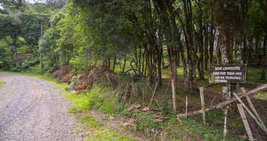 Terreno à venda em caxias do sul: localização privilegiada no bairro serrano.