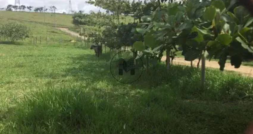 Terreno à venda, 5300 m² por r$ 510.000,00 - clube dos quinhentos - guaratinguetá/sp