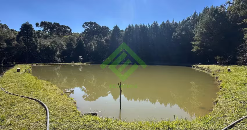 Chácara completa com 4 tanques de peixes e 64.556m² à 40km de curitiba-pr
