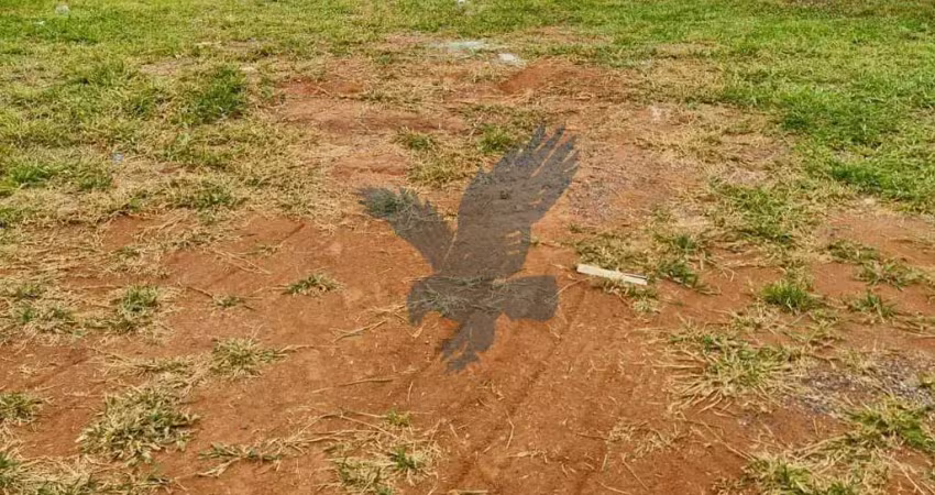 Terreno em condomínio fechado à venda na Av. Dr. Roberto Cerqueira de Oliveira Rosa, s/n, Loteamento Residencial Arborais, Campinas