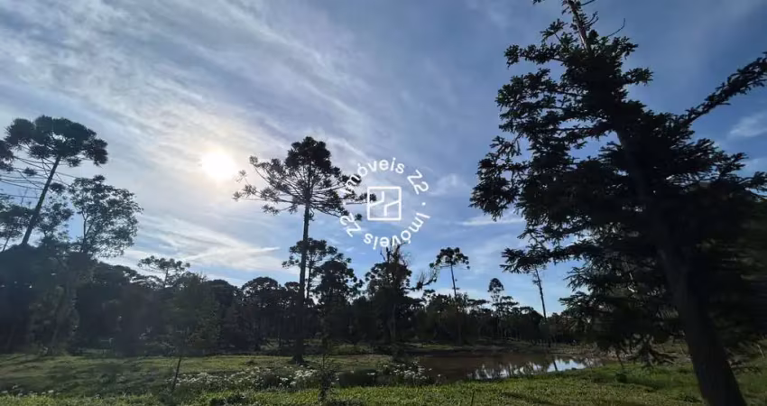 Chácara / sítio à venda na Avenquinha, Campo Alegre 