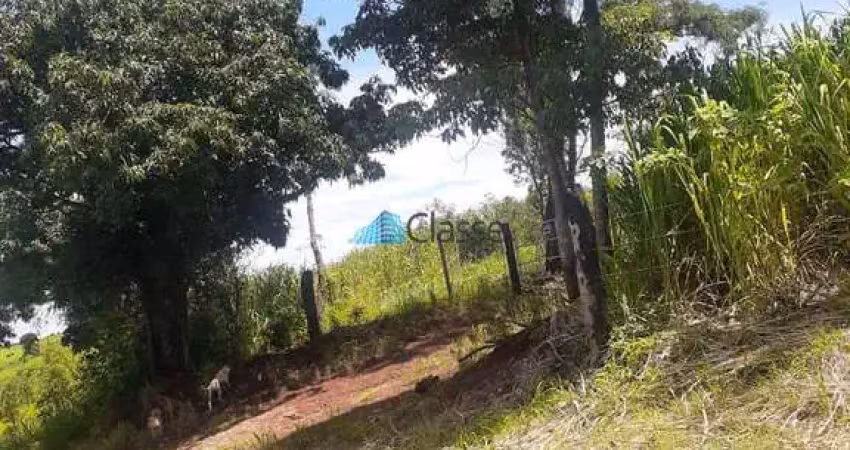 Chácara de lazer e produção de uvas em mandaguari - pr