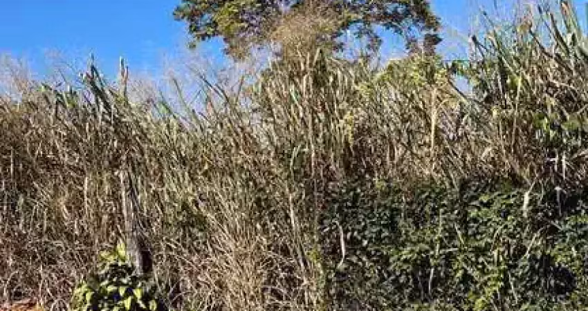 Terreno à venda no Centro, Sarzedo 