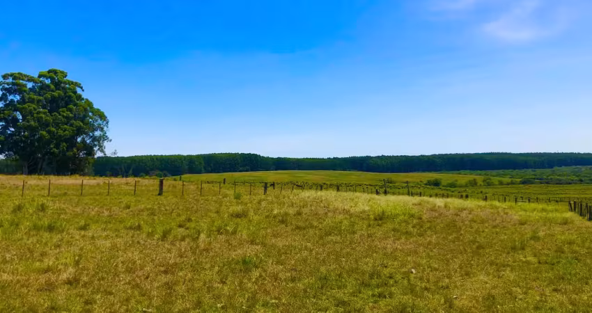 Fazenda com 2 salas à venda na Rua Dutra de Andrade, Zona Rural, Pinheiro Machado