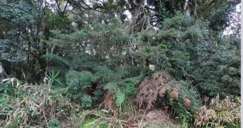 Terreno à venda na São Bernardo, 15, São Bernardo, São Francisco de Paula