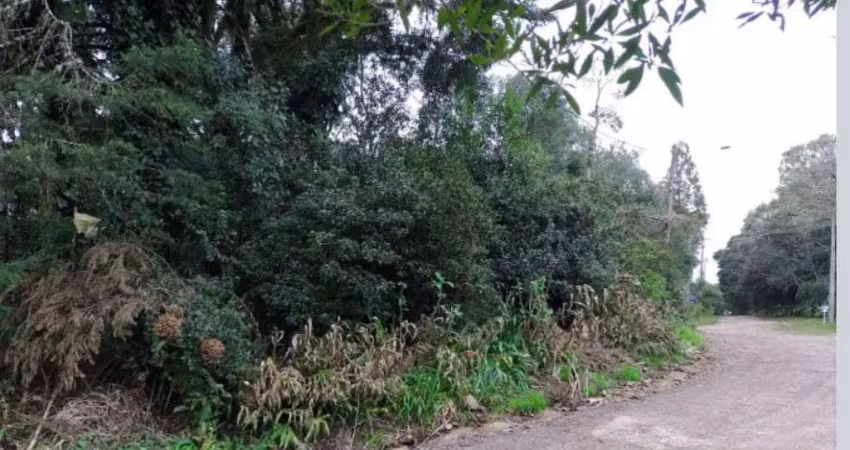 Terreno à venda na São Bernardo, 12, São Bernardo, São Francisco de Paula