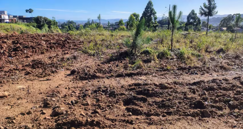 Grande área com bonita vista em local alto e plano, viabilidade até 5 pisos