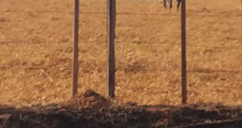 Fazenda própria para loteamento urbano de condomínio horizontal.