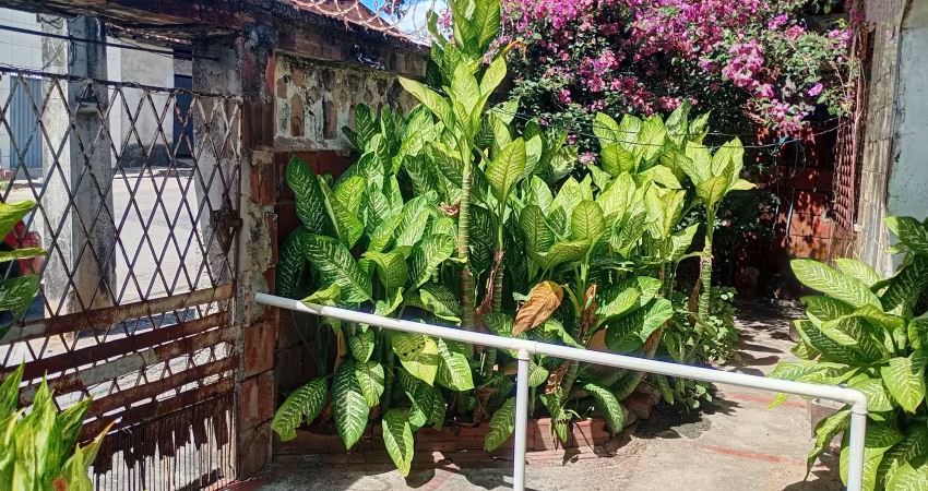 Terreno pronto para transferir e construir 12 apartamentos